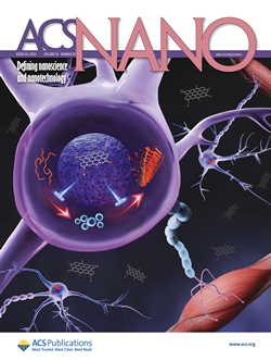 ACS NANO 커버이미지