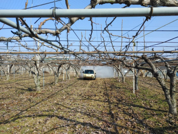 배나무 월동 해충 방제