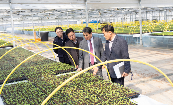 김돈곤 청양군수, 농기센터 다목적육묘장 방문 모습