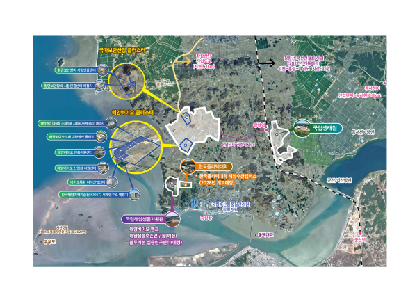 해양바이오 클러스터