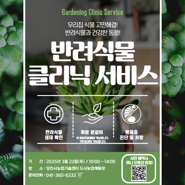 반려식물 클리닉 서비스 카드뉴스