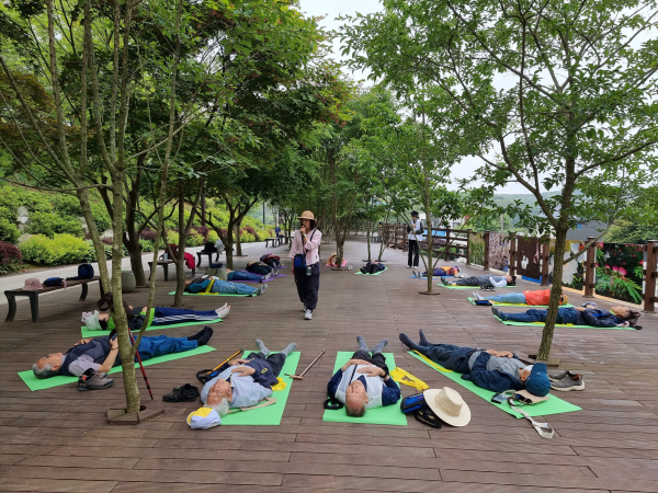 숲에서 건강 더하기 프로그램 운영 모습