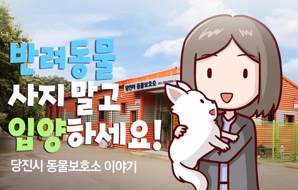당진시 동물보호소 전경, 유기동물 입양 홍보 그림