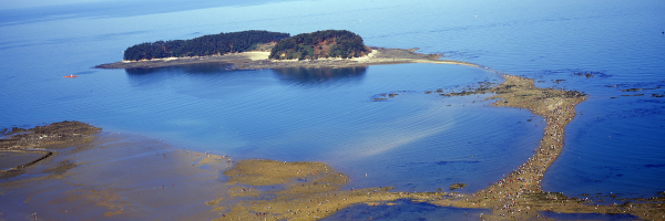 무창포해수욕장 신비의 바닷길