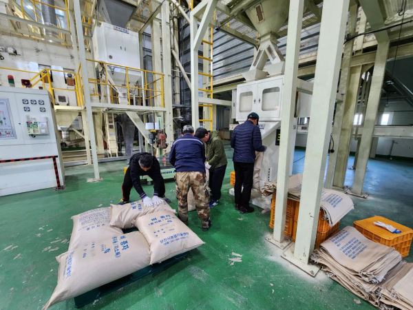 벼 종자 공급 작업 현장 모습