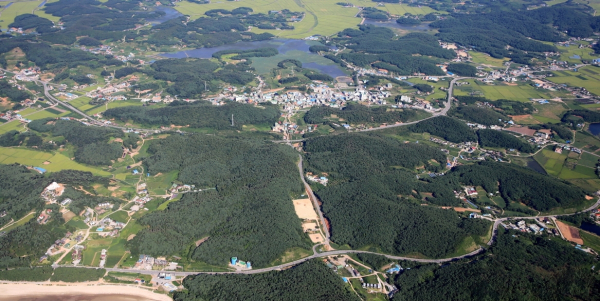 안면읍 승언리 항공사진.