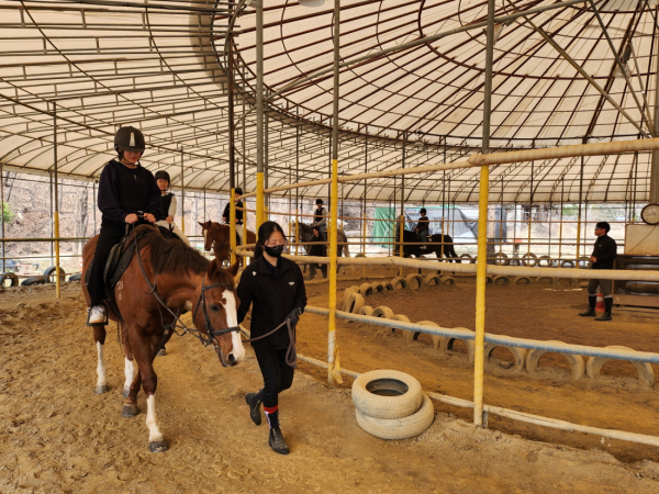 참여 학생들이 승마 체험을 하고 있다