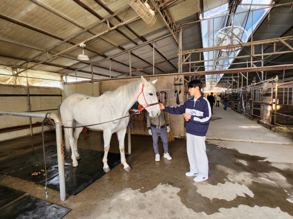 참여 학생들이 승마 체험을 하고 있다