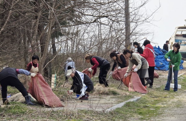 지난 24일 안면읍 백사장항에서 진행된 항포구 정화활동 모습.