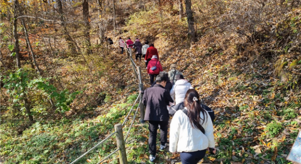 지난 11월 시니어 웰라이프 힐링 캠프에서 참가자들이 국립산림치유원에서 프로그램에 참여하고 있다.