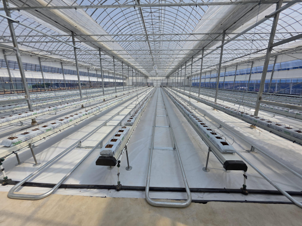 스마트팜 사관학교