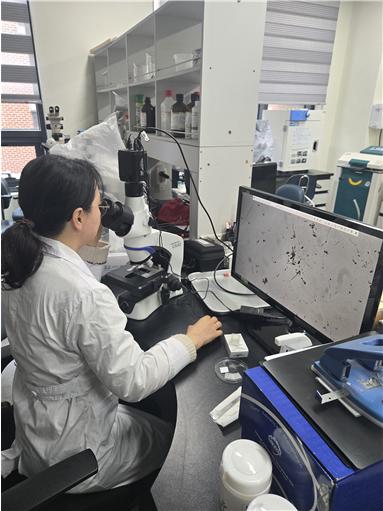 꽃가루 발아율 검정 모습