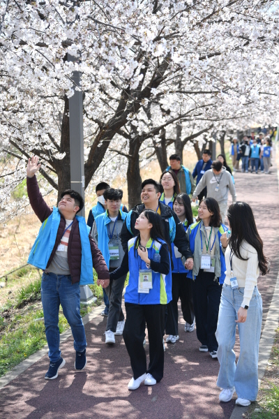 지난 2024년 열린 행사에서 조폐공사 직원과 지적장애인이 함께 벚꽃길을 걷고 있다.