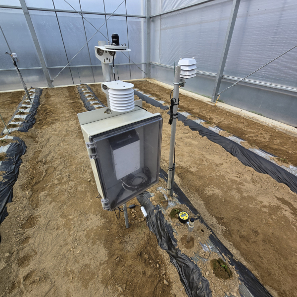 구기자 관비재배 시험