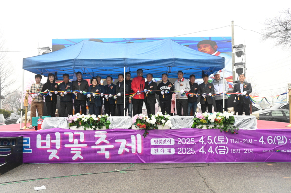 삽교 충의로 벚꽃축제