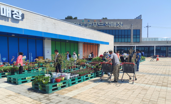 지난 5일 태안로컬푸드직매장 ‘태안로컬푸드 봄꽃축제’ 모습.