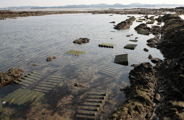 해삼 인공어초(남면)