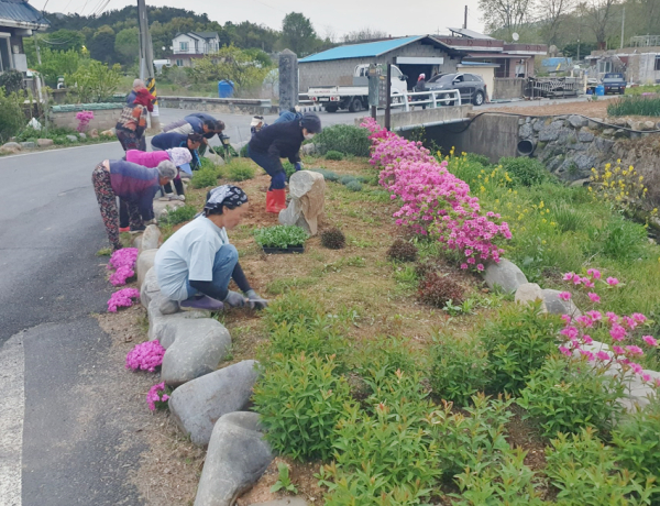 지난 2024년 봄꽃 식재 사진