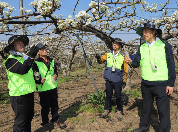 정해웅 본부장(오른쪽 첫 번째) 영농철 일손돕기를 하고 있다.