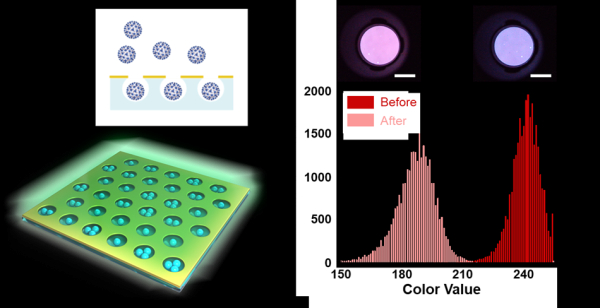 바이러스에 의해 색이 변하는 나노팟 센서의 원리와 실험 결과