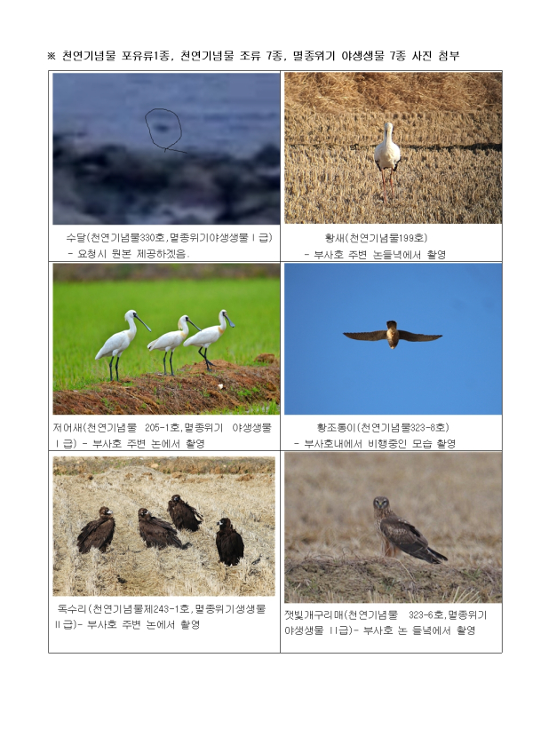 반대 의견서에 포함된 자료