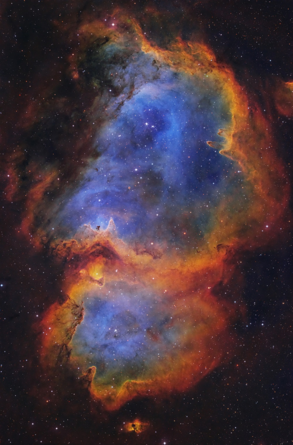 지난해 한국천문연구원이 개최한 제32회 천체사진공모전 최우수상 수상작 ‘태아성운(지용호)’. 사진 제공=한국천문연구원.