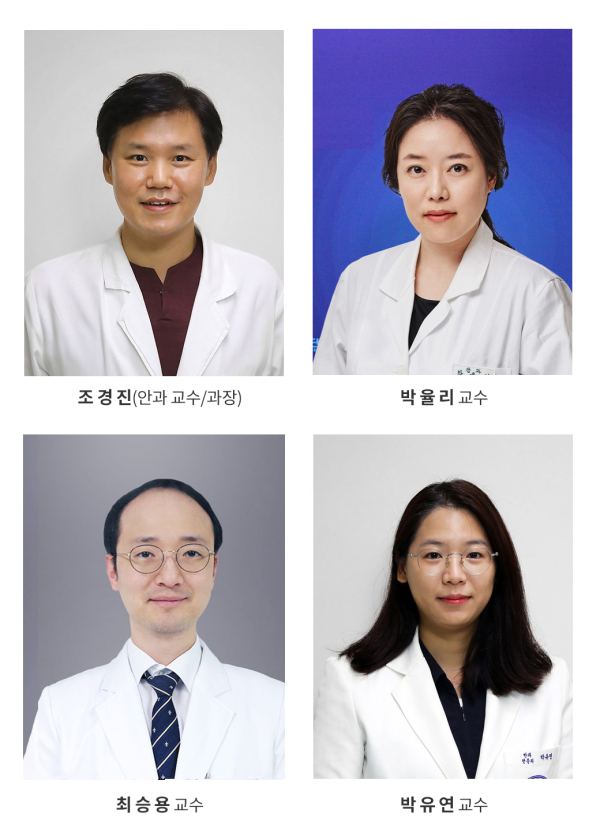 안과 조경진 교수팀