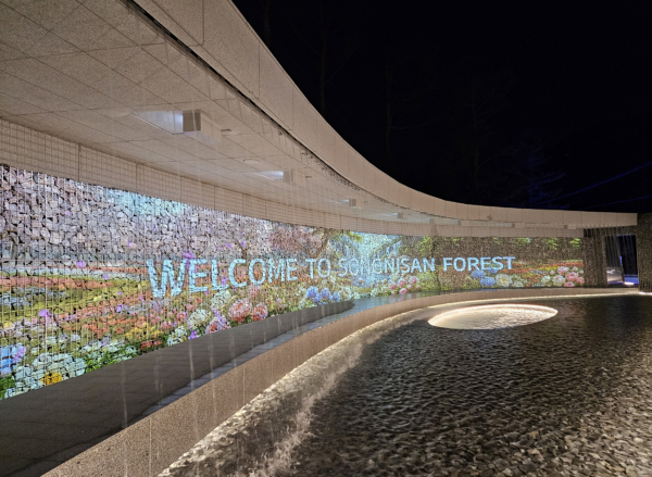 속리산 포레스트 입구