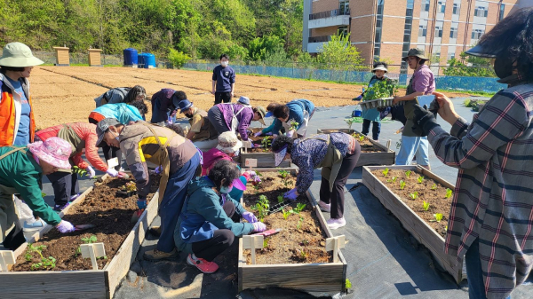 경도인지장애 어르신 대상 교육 모습