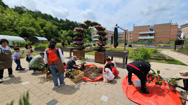 반려식물 분갈이, 이젠 어렵지 않아요