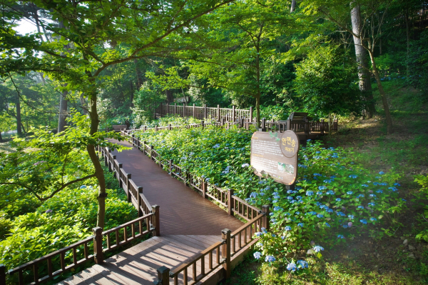 녹색인프라 확충사업(무장애나눔길) 충남 태안군 ‘안면도수목원’ 내 조성지 사진