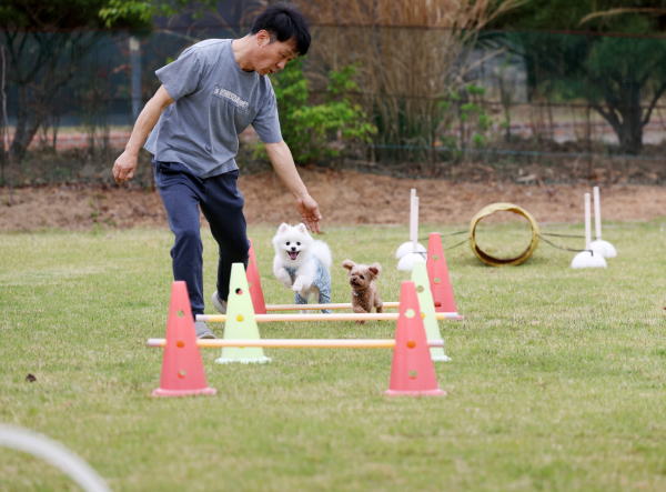 남면의 한 반려동물 동반 숙박업소(펜션) 모습.