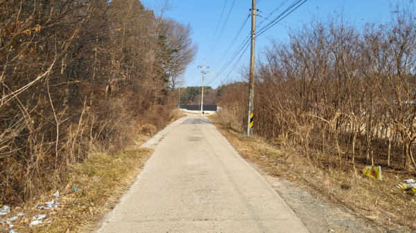 송정동 위험도로 현장 사진