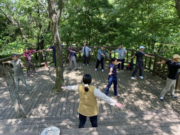 치매 예방 항노화 산림치유 프로그램 운영 사진