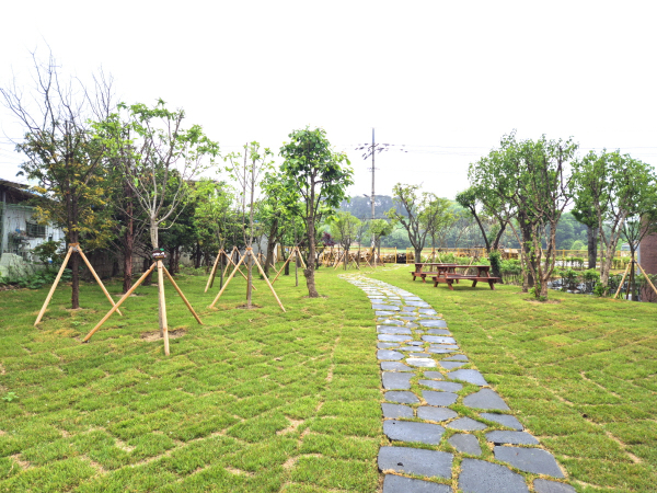 도고초등학교 학교숲 내부 전경
