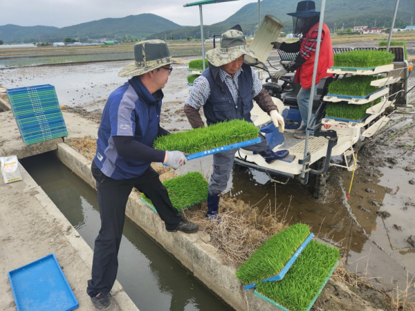 28일까지 보령시 웅천읍 일원 농가를 방문해 농촌 일손돕기 봉사활동 진행