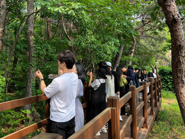 지난 31일 국립대전숲체원에서 임신부부가 숲태교 프로그램에 참여하고 있다.