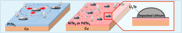PtTe2는 리튬의 빠른 표면 확산을 유도하고, PdTe2 및 NiTe2는 리튬과의 반응을 통해 생성된 Li2Te에 의해 핵 생성 밀도를 증가시키는 메커니즘을 나타낸 모식도.