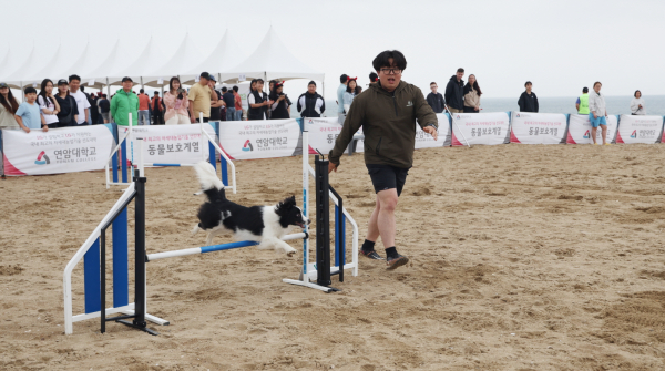 지난해 6월 8일 개최된 제1회 반려동물 해변운동회 모습.