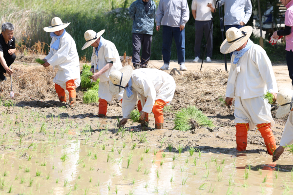 ‘풍년기원 권농일 손 모내기 행사’를 개최