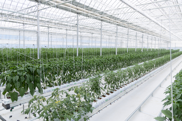 청양군 스마트팜 사관학교의 모습