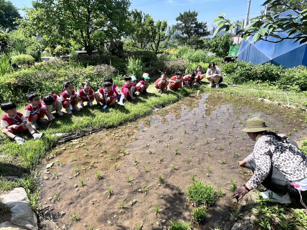 2025 어린이 농부학교 교육 현장