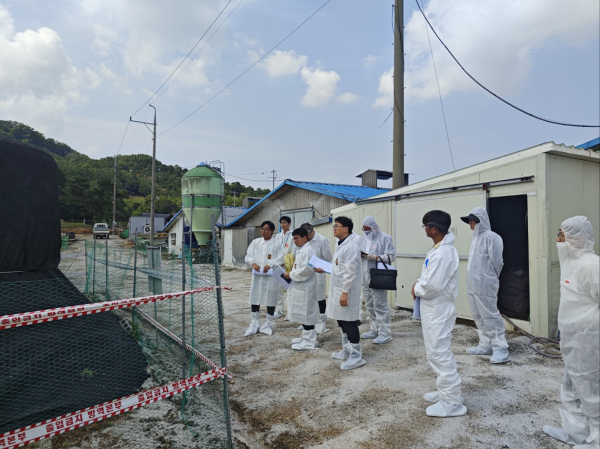 가축 매몰지 재해 취약지역 점검 상황