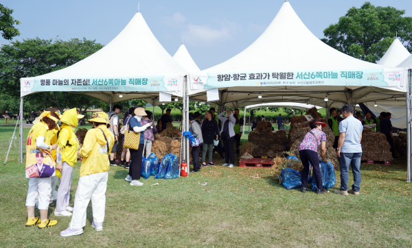 서산해미읍성 일원에서 열린 제16회 서산6쪽마늘축제 현장 모습