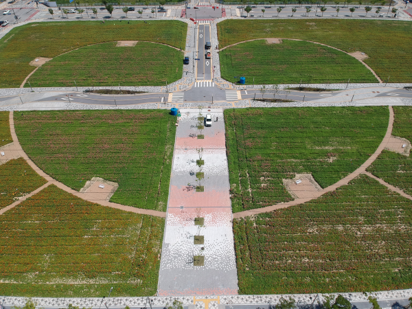 백일홍 꽃밭 조성 전경