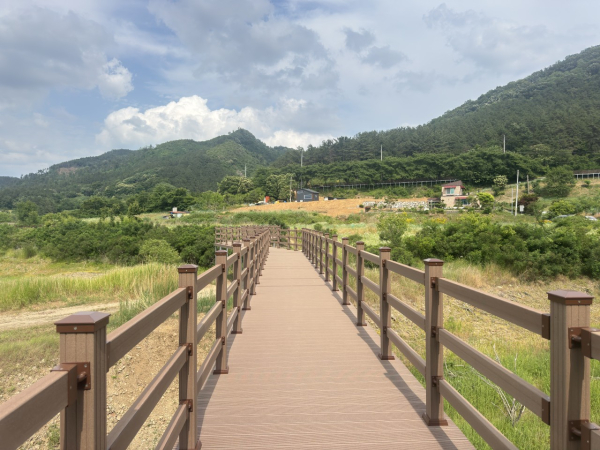 새롭게 조성된 신촌누리길 전경