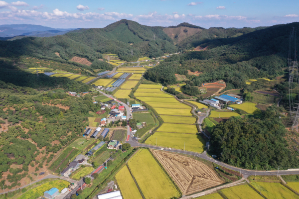 대치면 형산리 전경