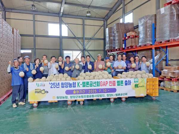 청양 멜론, 2025년 첫 출하식 개최 모습