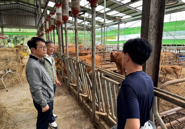 폭염피해 예방 위한 축산농가 및 농업인 대상으로 집중 현장점검 진행 모습