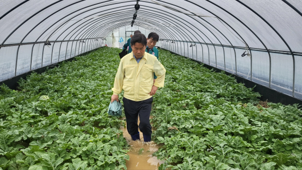 박정현 부여군수